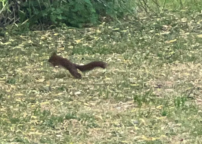 Villa La Dolce Ménilles